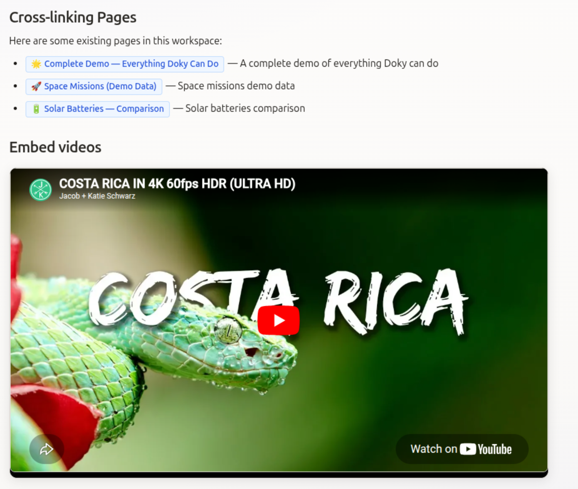 Dokyo editor with embeds, videos and linked pages